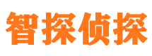 钟山市侦探调查公司